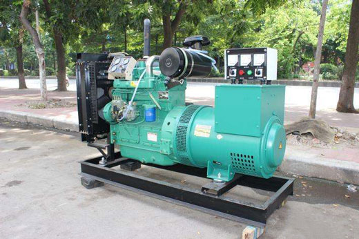 樟树发电机不发电的原因 樟树发电机不发电的原因